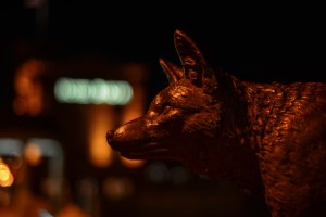 St. Charles - Fox Profile - Fox River © Bobbi Rose Photography
