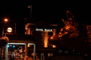 St. Charles - Fox Profile - Fox Rover - Hotel Baker © Bobbi Rose Photography