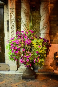 St. Charles - Hotel Baker potted plant © Bobbi Rose Photography