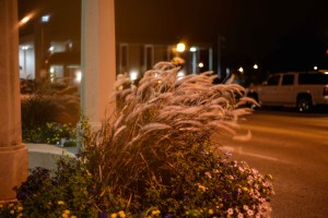 St. Charles - potted plants on windy Fox River Bridge © Bobbi Rose Photography