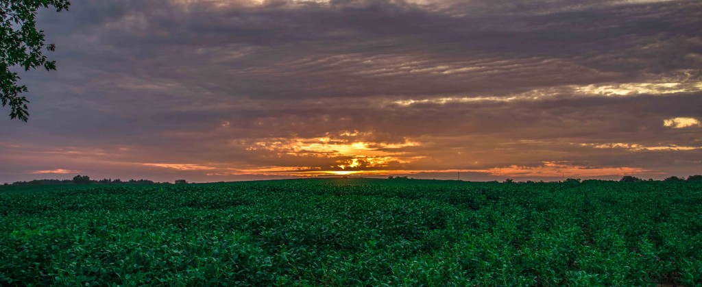 Woodstock Sunrise 8.10.14  © Bobbi Rose Photography