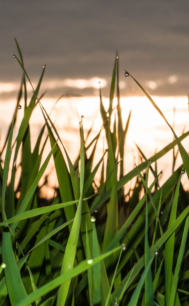 Woodstock Sunrise 8.10.14  © Bobbi Rose Photography