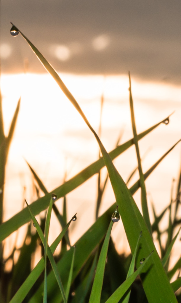 Woodstock Sunrise 8.10.14 © Bobbi Rose Photography