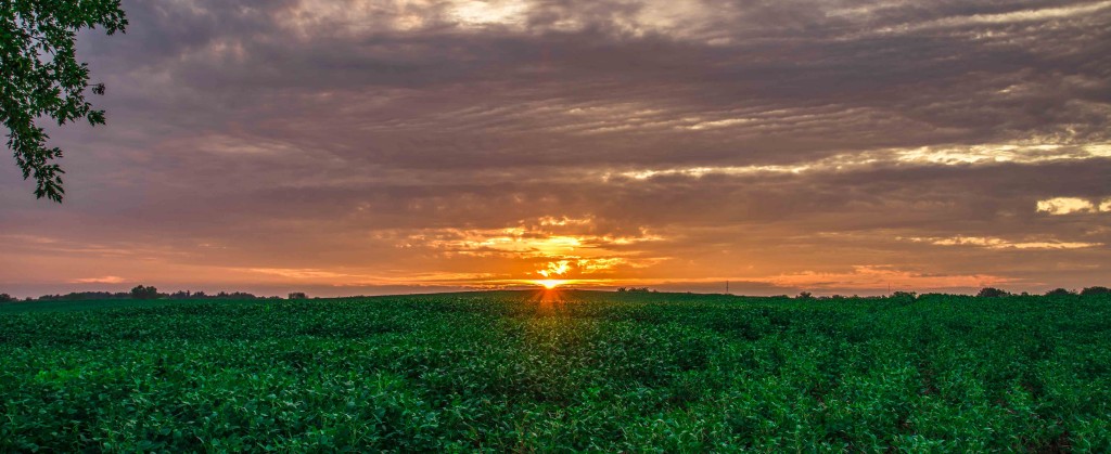 Woodstock Sunrise 8.10.14  © Bobbi Rose Photography