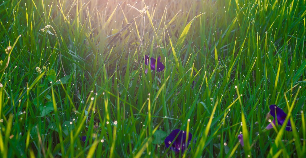 Woodstock Sunrise 8.10.14  © Bobbi Rose Photography